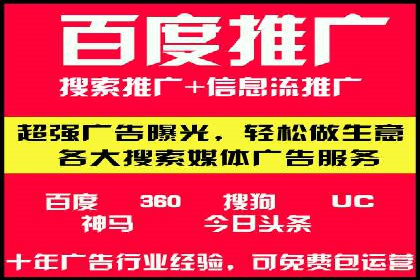 某知名企业SEM营销全案解析